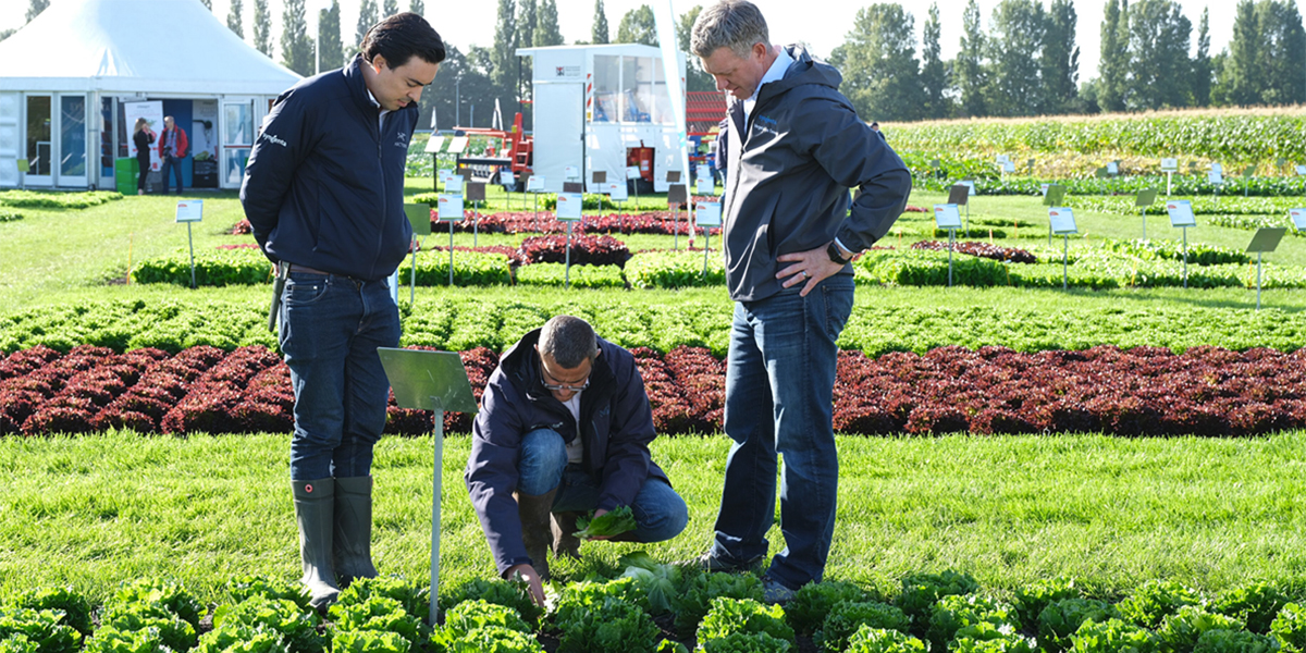 Fields of Innovation 2024: torna l'imperdibile evento di Syngenta Vegetable Seeds